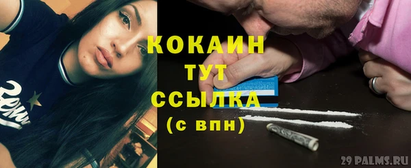 ПСИЛОЦИБИНОВЫЕ ГРИБЫ Няндома