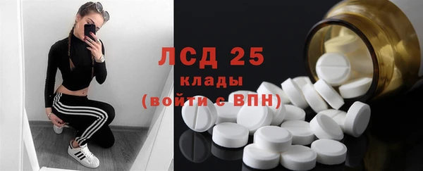 ПСИЛОЦИБИНОВЫЕ ГРИБЫ Няндома
