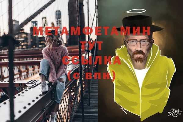 ПСИЛОЦИБИНОВЫЕ ГРИБЫ Няндома