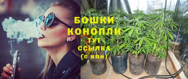 ПСИЛОЦИБИНОВЫЕ ГРИБЫ Нягань