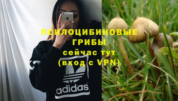 ПСИЛОЦИБИНОВЫЕ ГРИБЫ Нягань