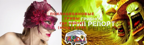 стафф Новозыбков