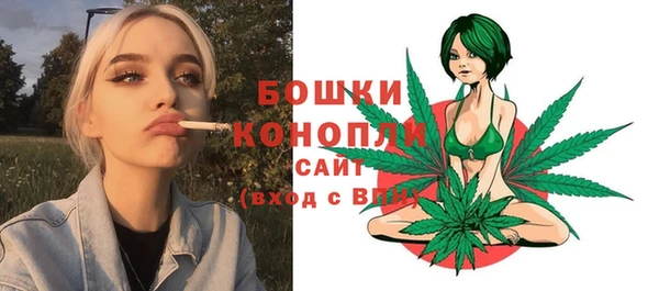 ПСИЛОЦИБИНОВЫЕ ГРИБЫ Няндома
