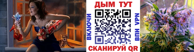 где можно купить   Черноголовка  Бошки Шишки OG Kush 